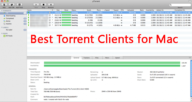 office torrent mac
